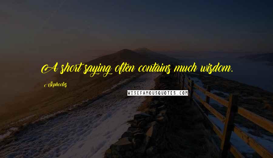Sophocles Quotes: A short saying often contains much wisdom.
