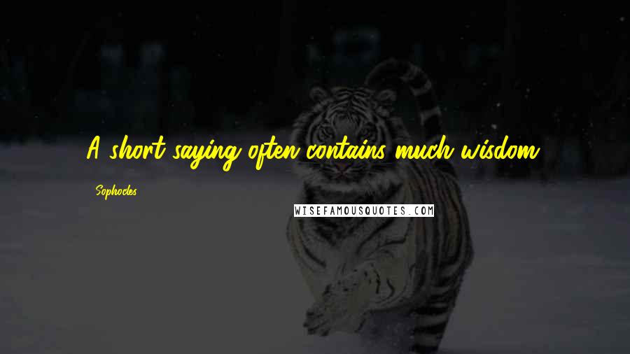 Sophocles Quotes: A short saying often contains much wisdom.