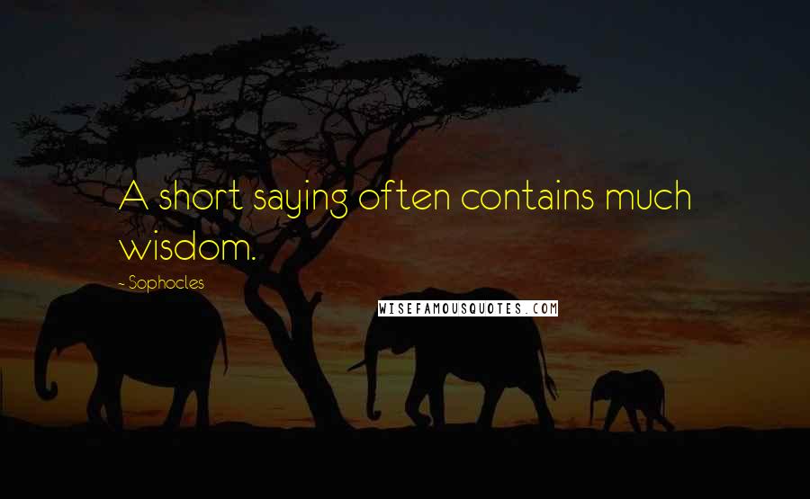 Sophocles Quotes: A short saying often contains much wisdom.