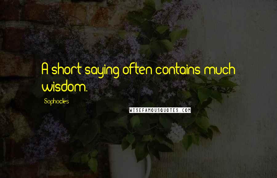 Sophocles Quotes: A short saying often contains much wisdom.