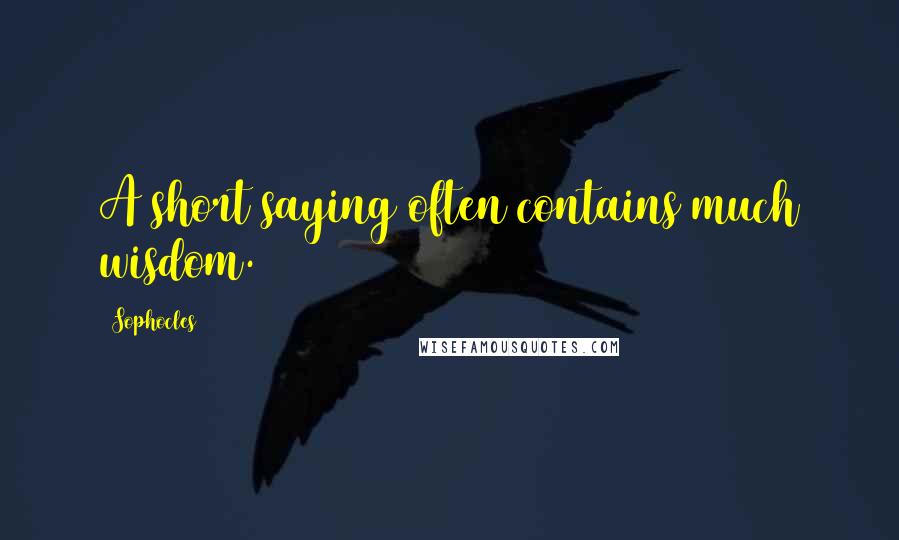 Sophocles Quotes: A short saying often contains much wisdom.