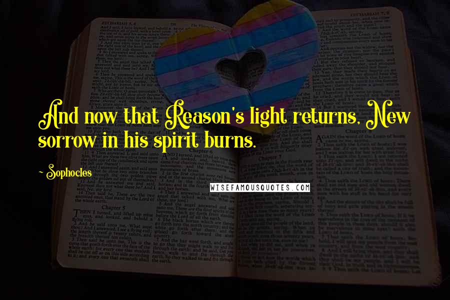 Sophocles Quotes: And now that Reason's light returns, New sorrow in his spirit burns.
