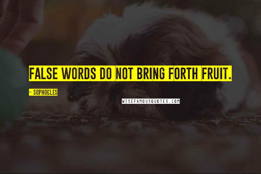 Sophocles Quotes: False words do not bring forth fruit.