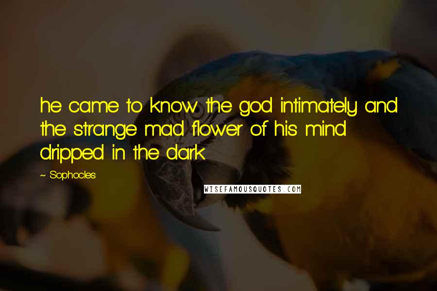 Sophocles Quotes: he came to know the god intimately and the strange mad flower of his mind dripped in the dark