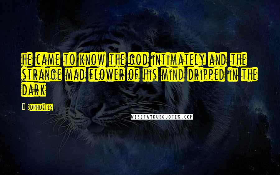 Sophocles Quotes: he came to know the god intimately and the strange mad flower of his mind dripped in the dark