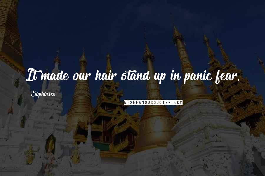 Sophocles Quotes: It made our hair stand up in panic fear.