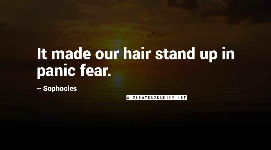 Sophocles Quotes: It made our hair stand up in panic fear.