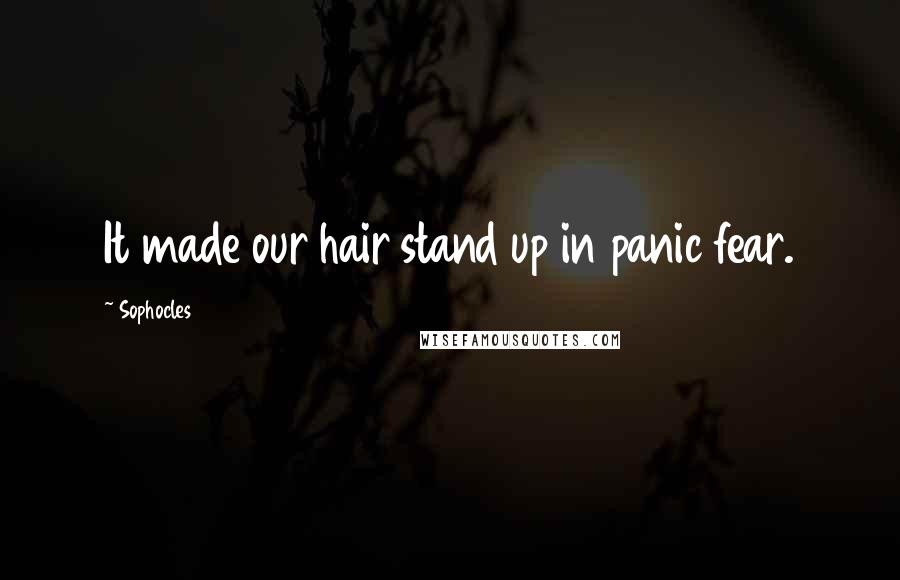 Sophocles Quotes: It made our hair stand up in panic fear.