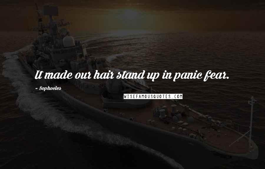 Sophocles Quotes: It made our hair stand up in panic fear.