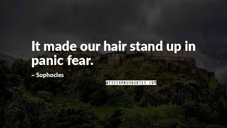 Sophocles Quotes: It made our hair stand up in panic fear.