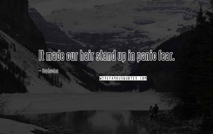 Sophocles Quotes: It made our hair stand up in panic fear.
