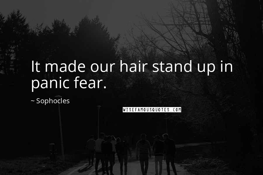Sophocles Quotes: It made our hair stand up in panic fear.