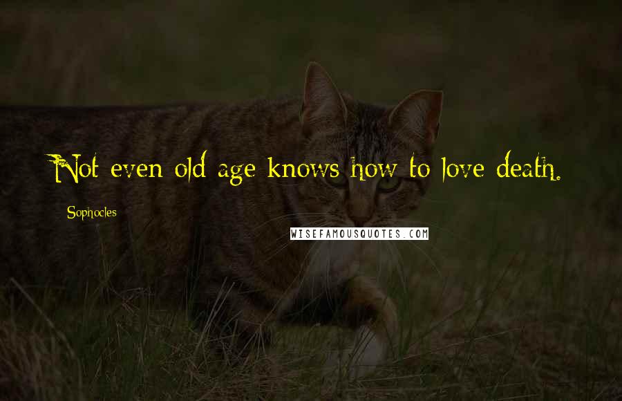 Sophocles Quotes: Not even old age knows how to love death.