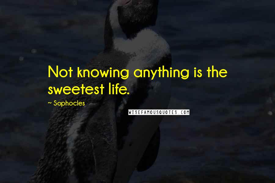 Sophocles Quotes: Not knowing anything is the sweetest life.