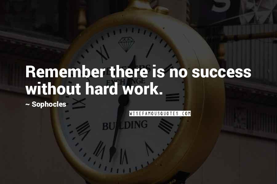 Sophocles Quotes: Remember there is no success without hard work.