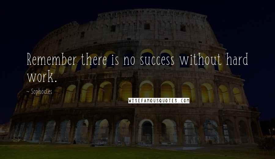 Sophocles Quotes: Remember there is no success without hard work.