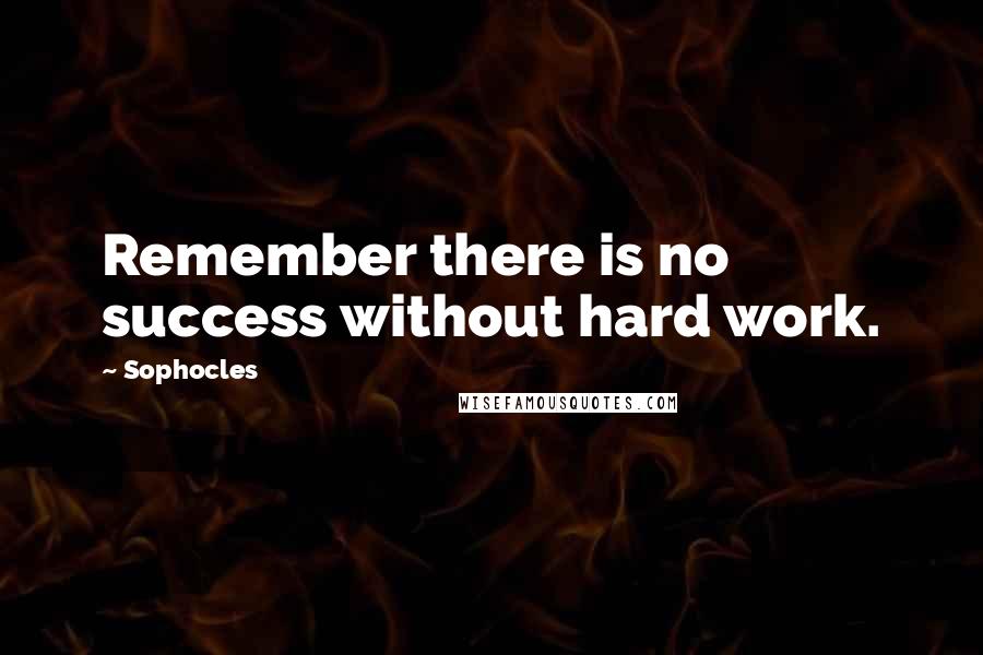 Sophocles Quotes: Remember there is no success without hard work.