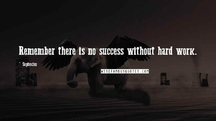 Sophocles Quotes: Remember there is no success without hard work.