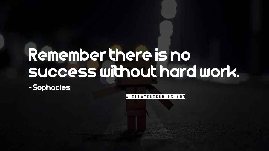 Sophocles Quotes: Remember there is no success without hard work.