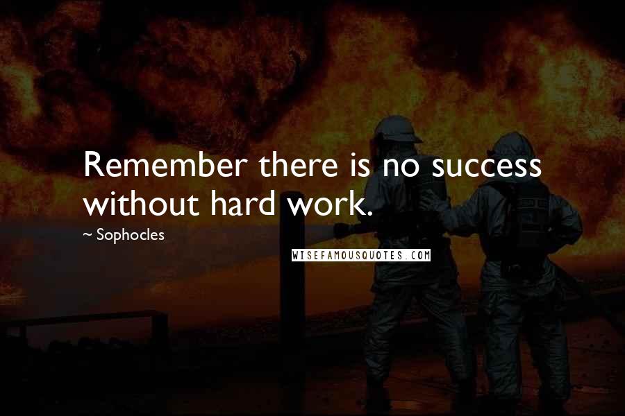 Sophocles Quotes: Remember there is no success without hard work.