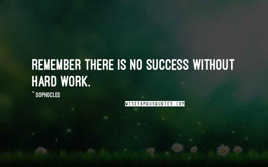 Sophocles Quotes: Remember there is no success without hard work.