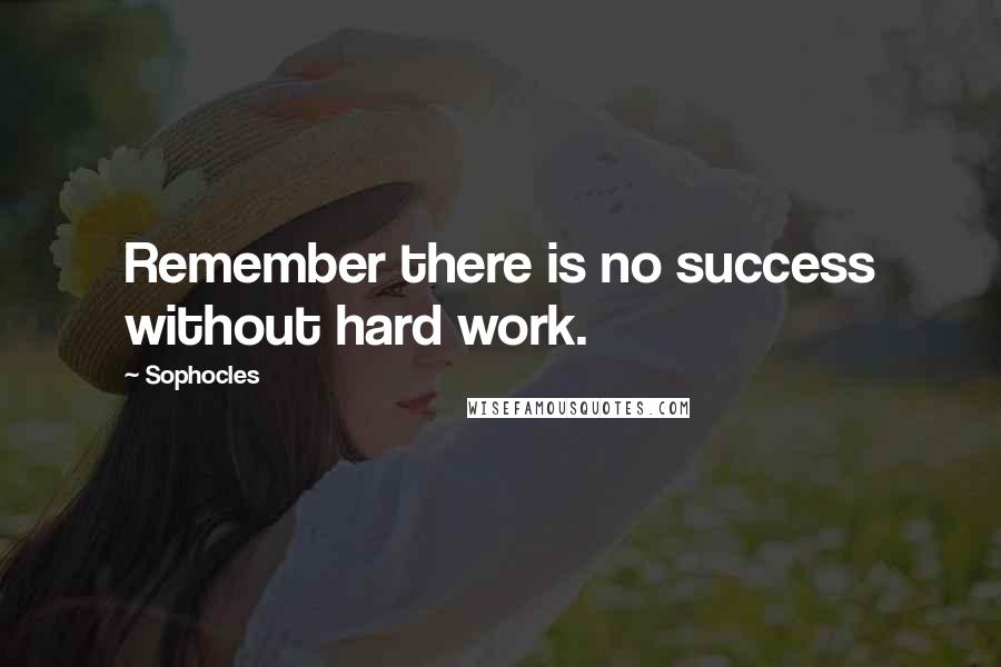 Sophocles Quotes: Remember there is no success without hard work.