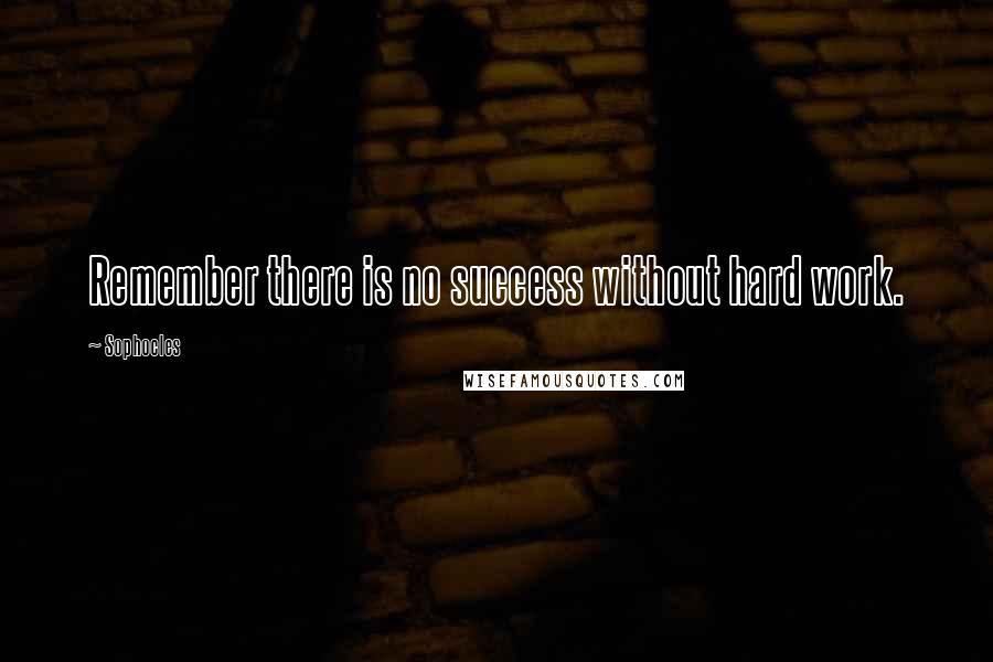 Sophocles Quotes: Remember there is no success without hard work.