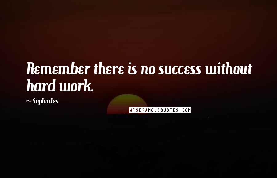 Sophocles Quotes: Remember there is no success without hard work.