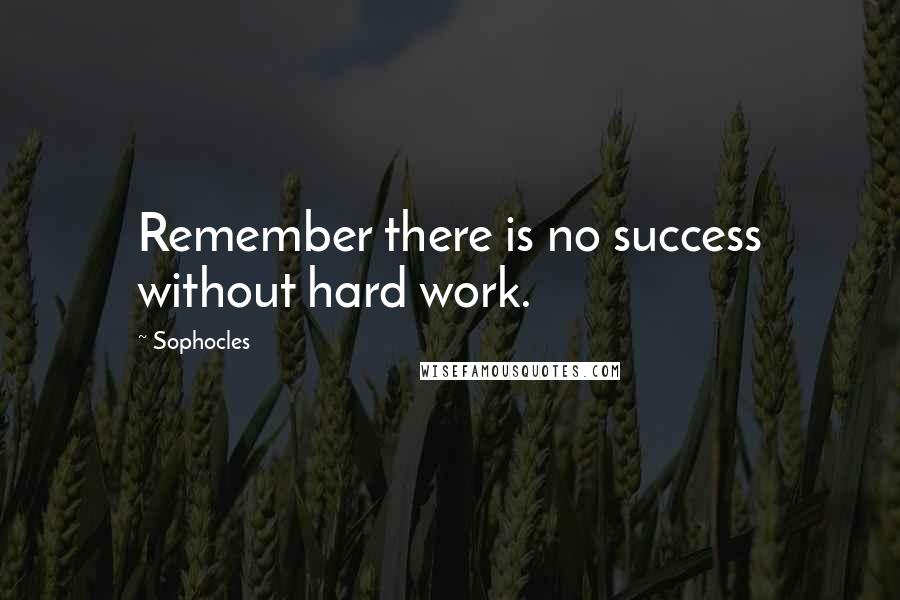 Sophocles Quotes: Remember there is no success without hard work.