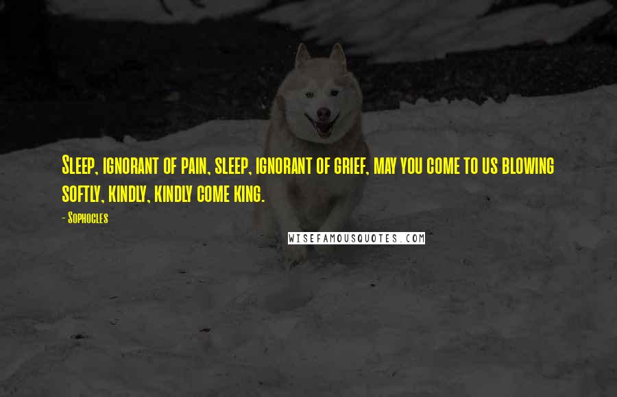 Sophocles Quotes: Sleep, ignorant of pain, sleep, ignorant of grief, may you come to us blowing softly, kindly, kindly come king.