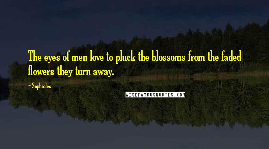 Sophocles Quotes: The eyes of men love to pluck the blossoms from the faded flowers they turn away.