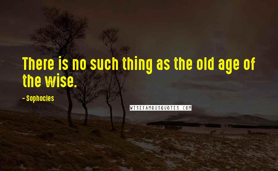 Sophocles Quotes: There is no such thing as the old age of the wise.
