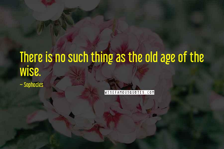 Sophocles Quotes: There is no such thing as the old age of the wise.