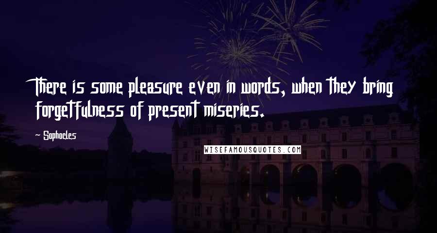 Sophocles Quotes: There is some pleasure even in words, when they bring forgetfulness of present miseries.