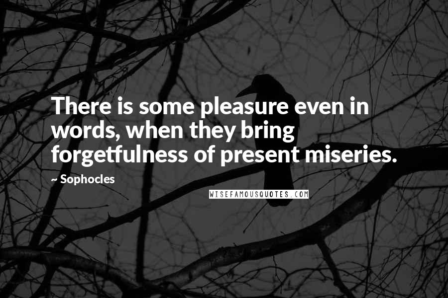 Sophocles Quotes: There is some pleasure even in words, when they bring forgetfulness of present miseries.