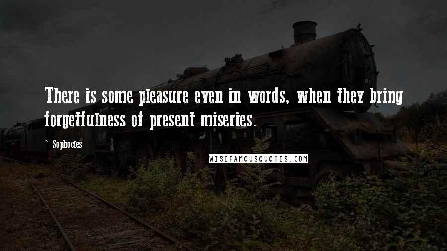 Sophocles Quotes: There is some pleasure even in words, when they bring forgetfulness of present miseries.