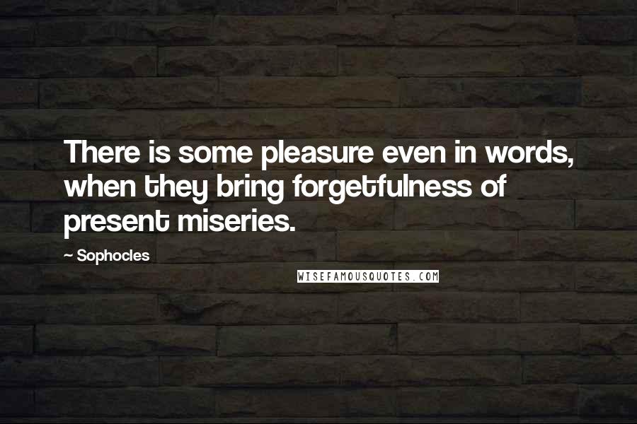 Sophocles Quotes: There is some pleasure even in words, when they bring forgetfulness of present miseries.