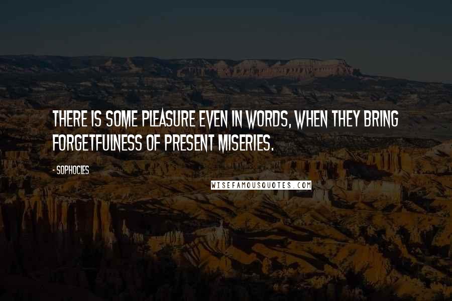 Sophocles Quotes: There is some pleasure even in words, when they bring forgetfulness of present miseries.