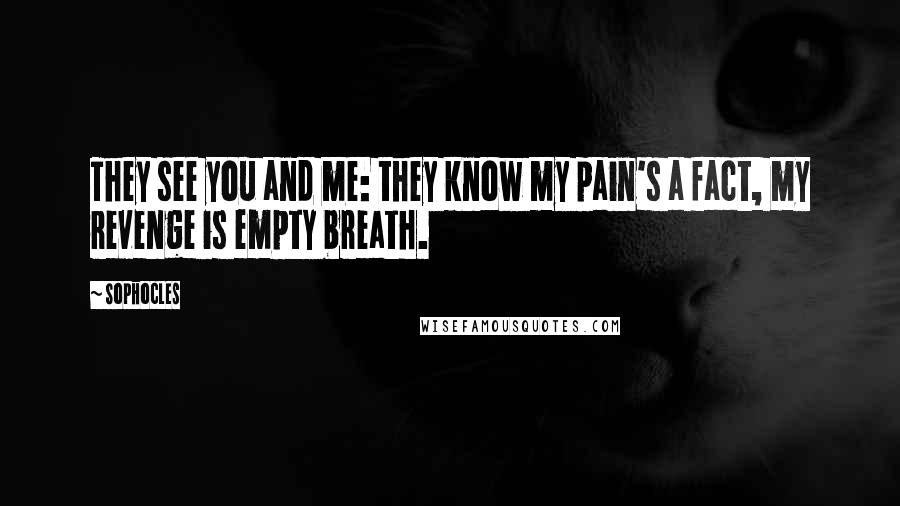 Sophocles Quotes: They see you and me: they know my pain's a fact, my revenge is empty breath.