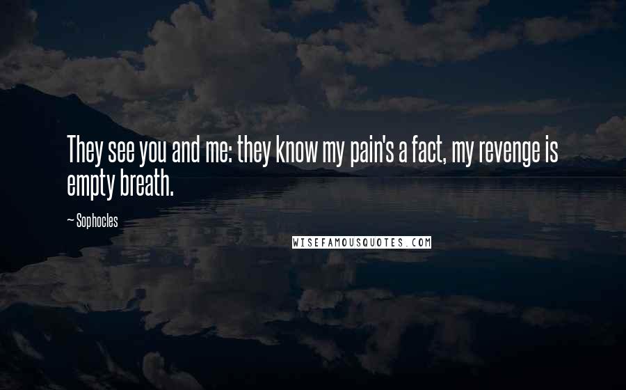 Sophocles Quotes: They see you and me: they know my pain's a fact, my revenge is empty breath.