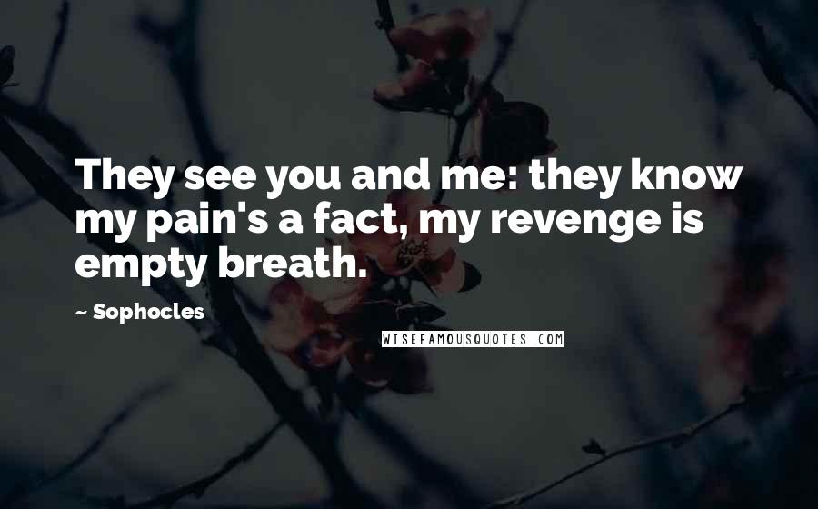 Sophocles Quotes: They see you and me: they know my pain's a fact, my revenge is empty breath.