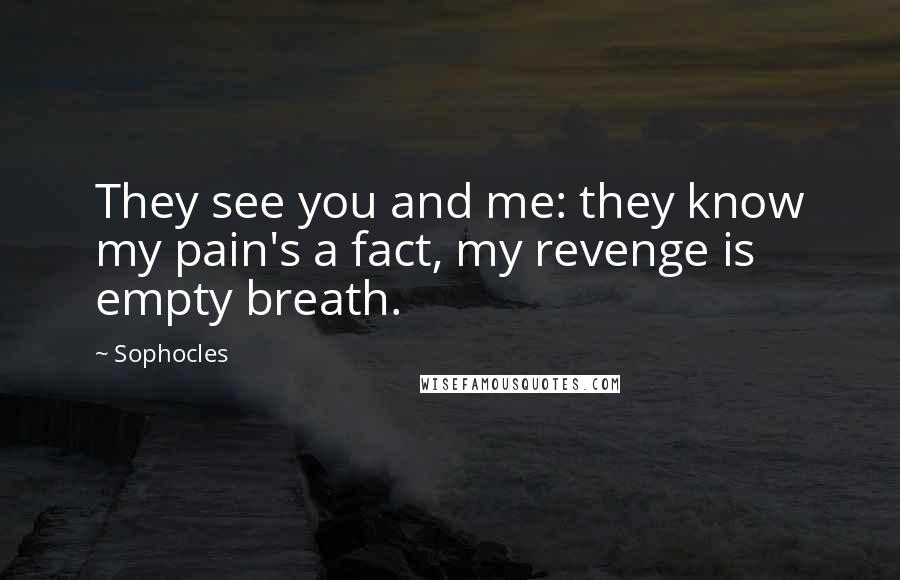 Sophocles Quotes: They see you and me: they know my pain's a fact, my revenge is empty breath.