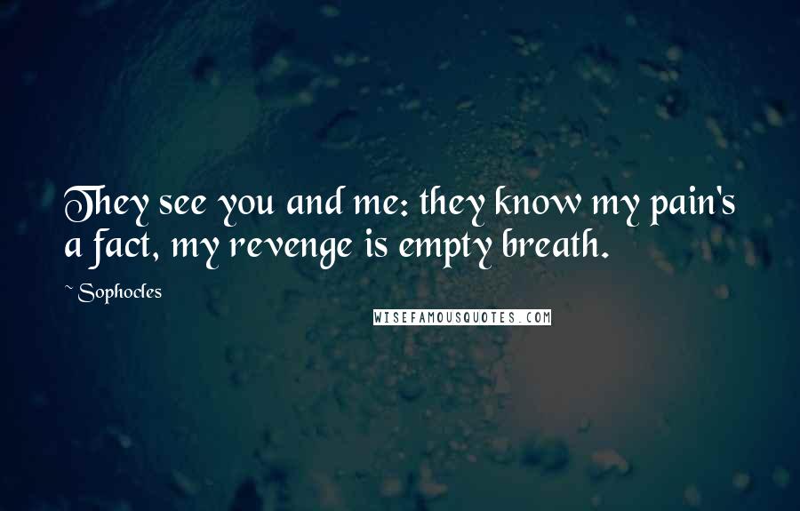 Sophocles Quotes: They see you and me: they know my pain's a fact, my revenge is empty breath.