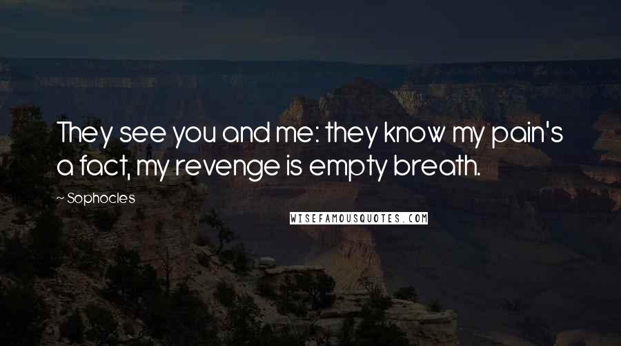 Sophocles Quotes: They see you and me: they know my pain's a fact, my revenge is empty breath.