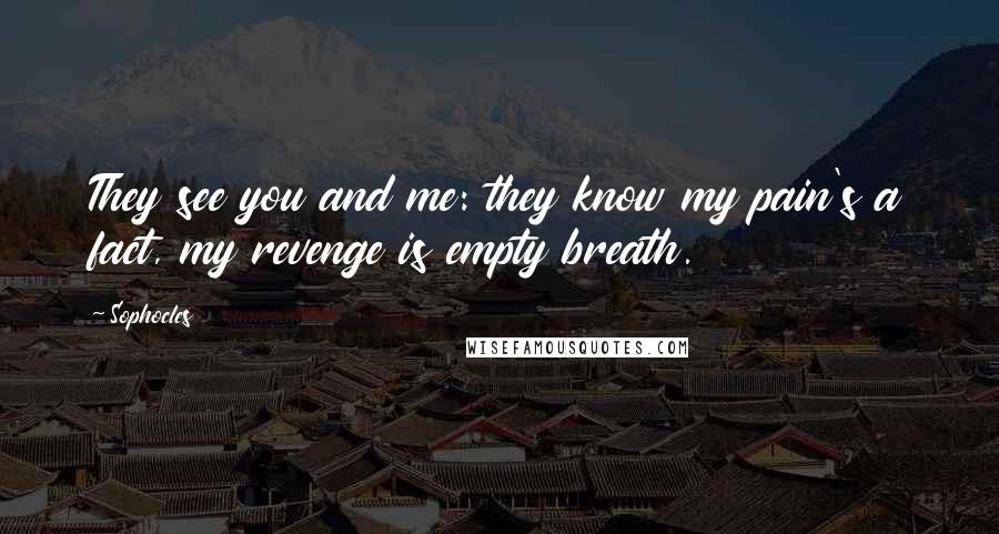 Sophocles Quotes: They see you and me: they know my pain's a fact, my revenge is empty breath.