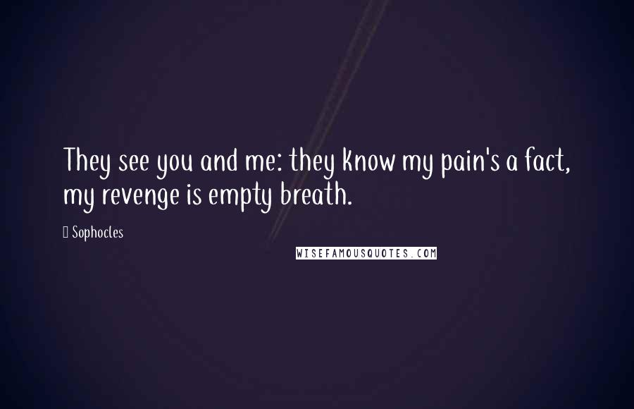 Sophocles Quotes: They see you and me: they know my pain's a fact, my revenge is empty breath.