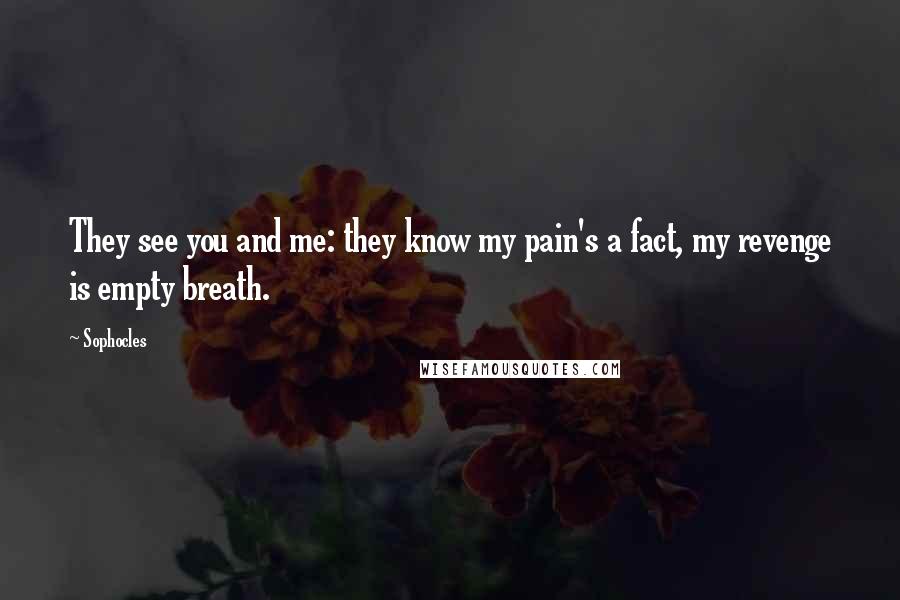 Sophocles Quotes: They see you and me: they know my pain's a fact, my revenge is empty breath.