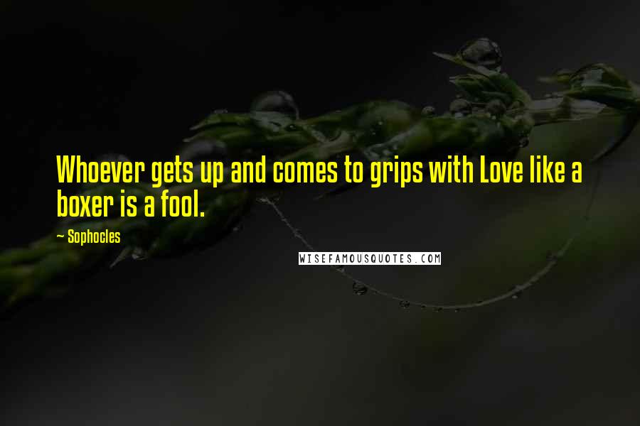 Sophocles Quotes: Whoever gets up and comes to grips with Love like a boxer is a fool.