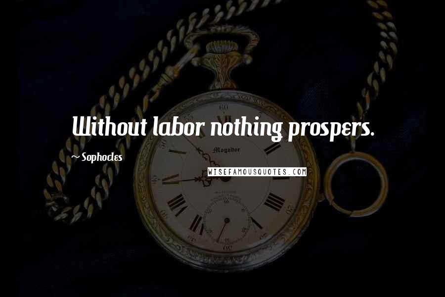 Sophocles Quotes: Without labor nothing prospers.