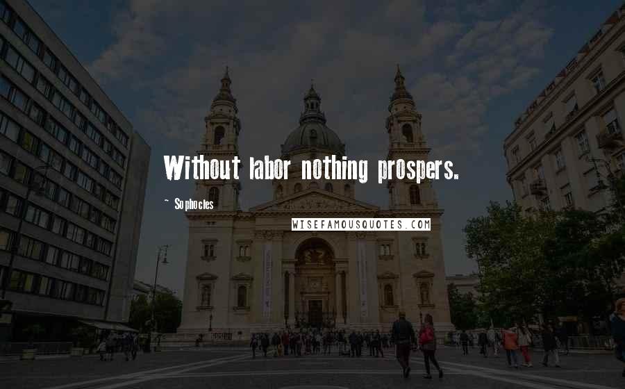 Sophocles Quotes: Without labor nothing prospers.